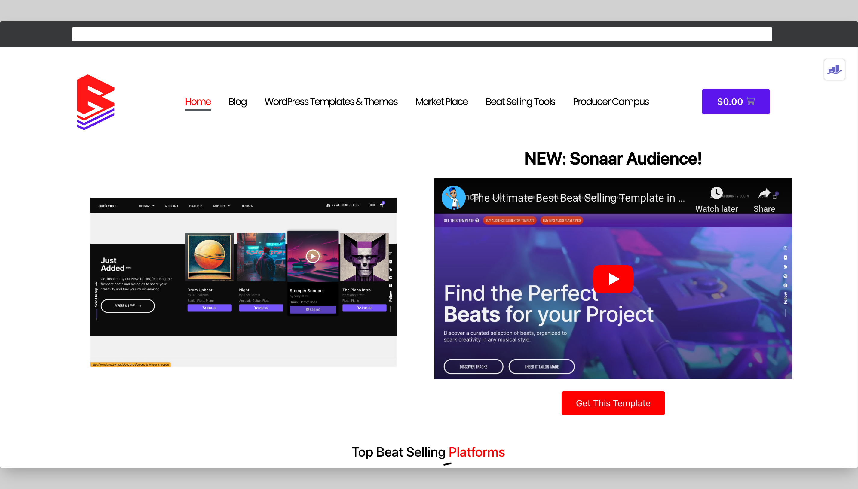 3 Types of beat selling websites you need to know 1 Beat Selling Website