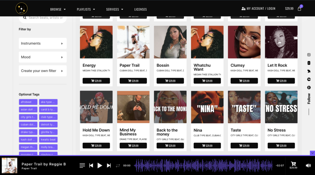 Sonaar Audience Template for Muic Producers